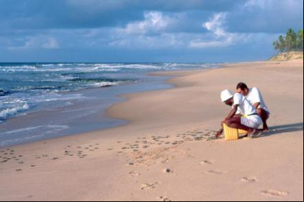 Praia de Arembepe Foto: Jota Freitas - Setur