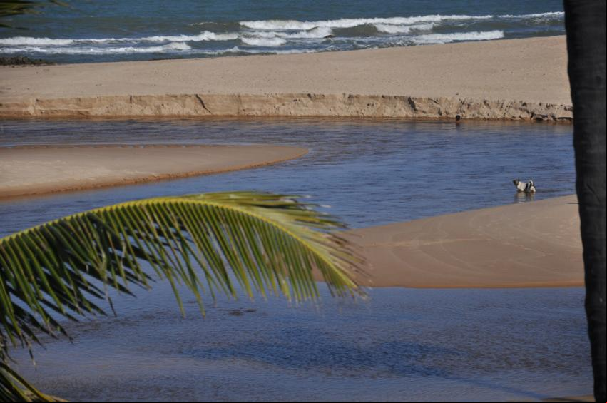 Imbassai - Praia de Imbassa