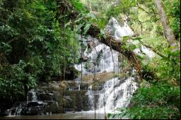 Cachoeira Palomar (Juquitiba-Sp) Foto: Prefeitura de Juquitiba